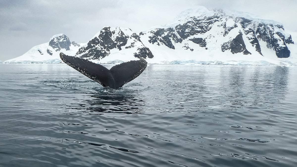 Ushuaia Roundtrip