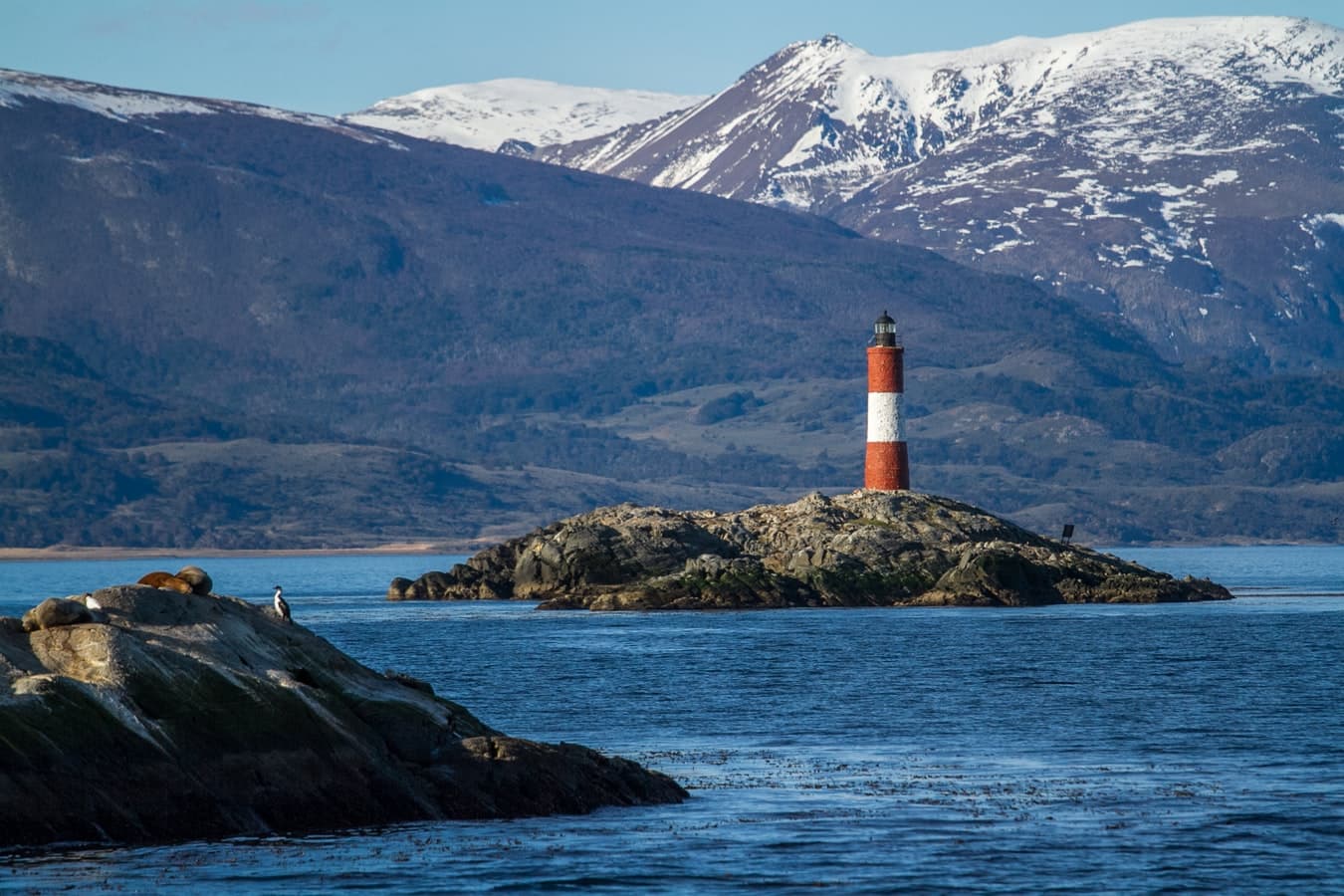 Best of the Southern Ocean