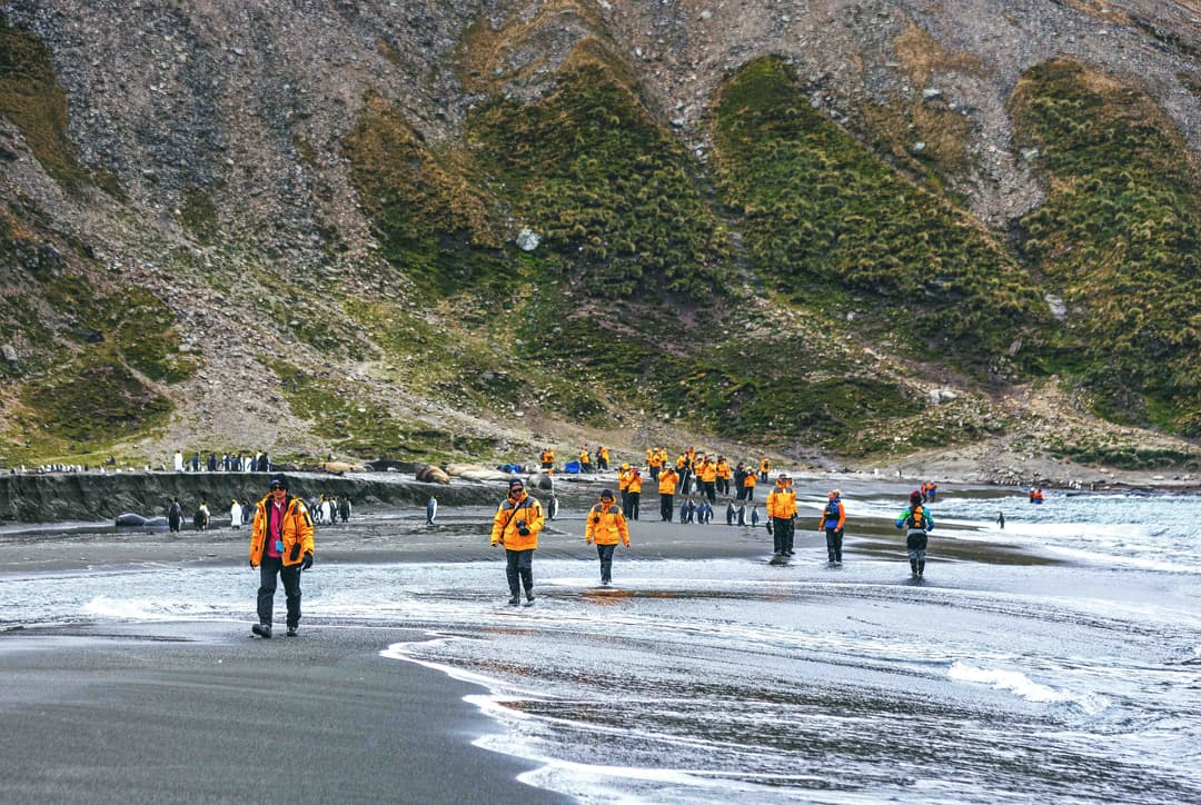 Quark Expeditions Hiking David Merronuntitled 38 2