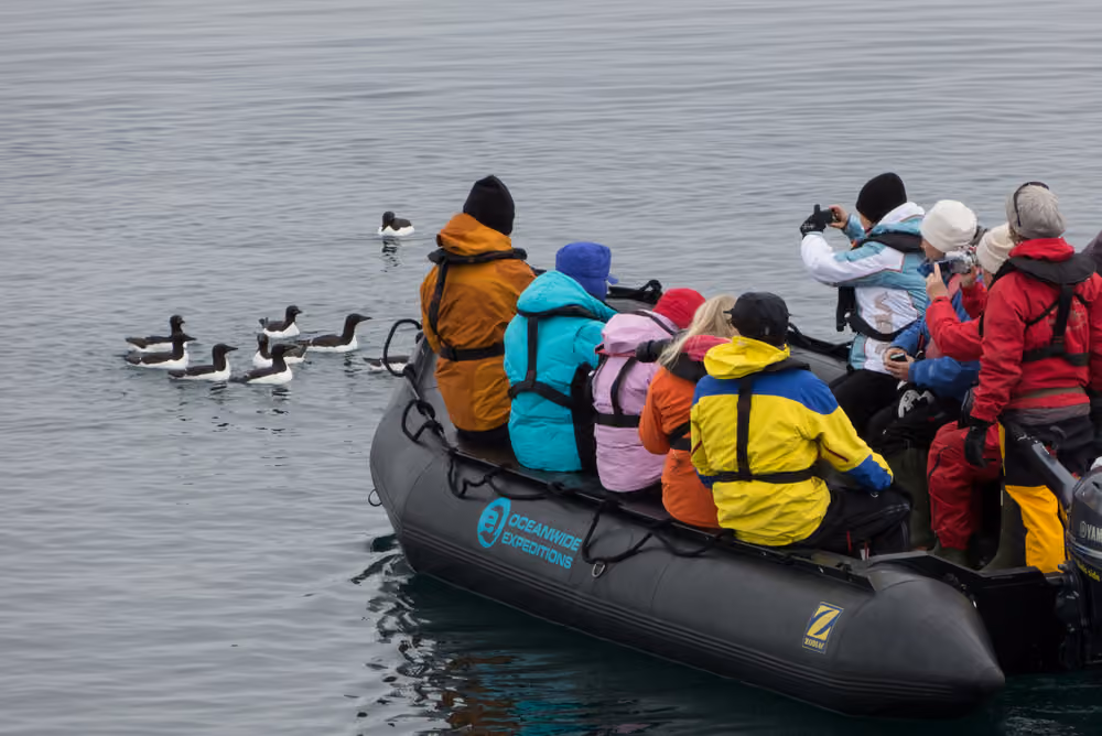 Oceanwide Expeditions Excursions Zodiac cruising Wildlife spotting_Siegfried Brueck.jpeg