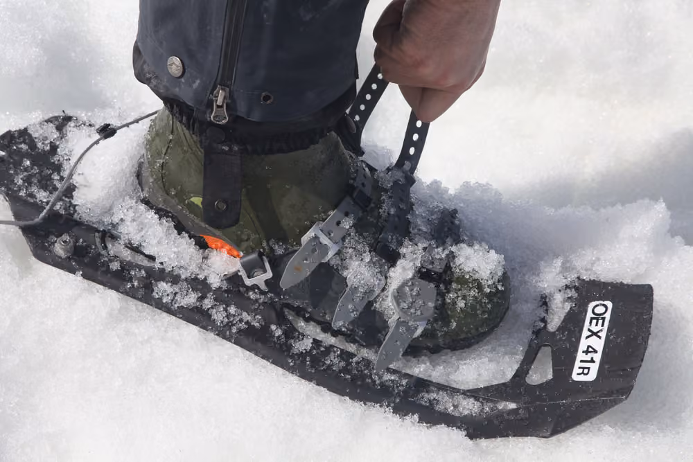 Oceanwide Expeditions Snowshoeing_Joerg Ehrlich.jpeg