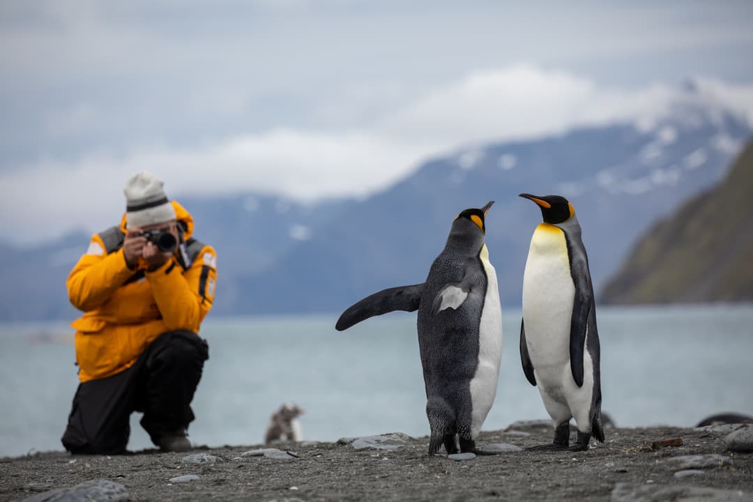 Quark Expeditions Photography Antarctica Credit Michelle Sole 3