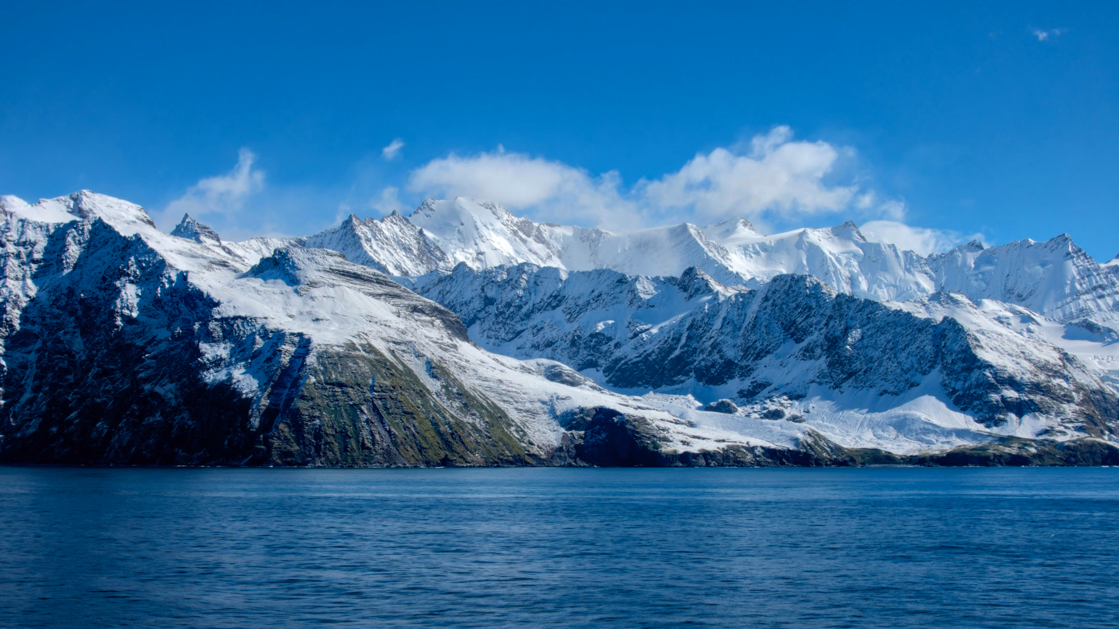 Falklands, South Georgia & Antarctic Peninsula