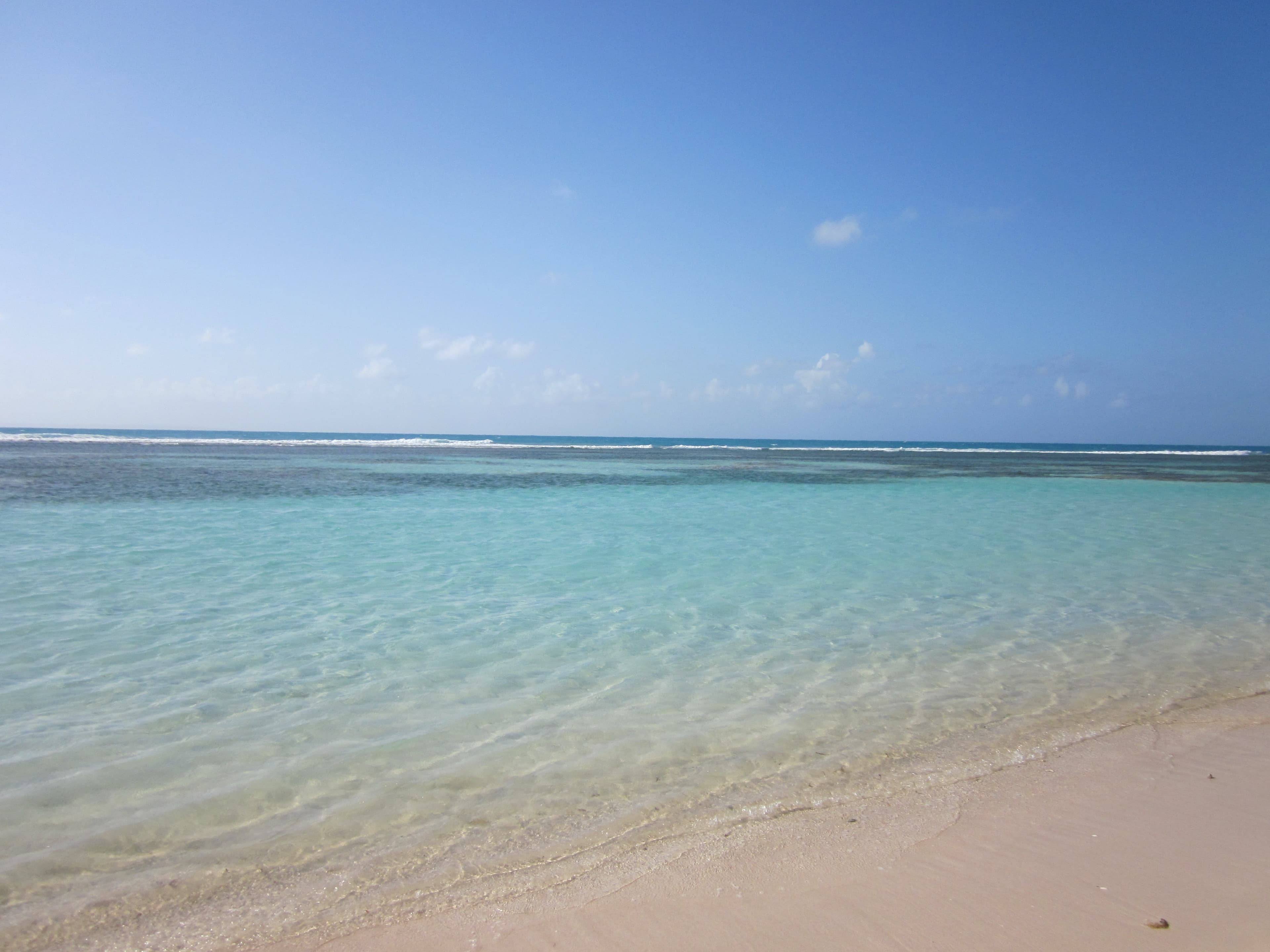 Sunlit Antillean Sojourn