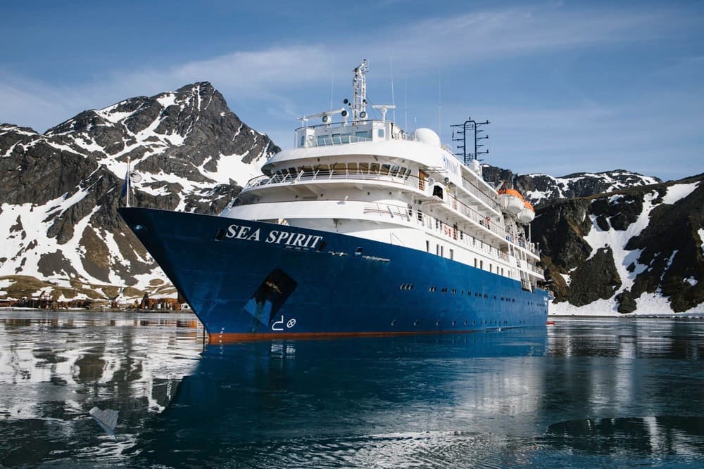 Best of the Southern Ocean