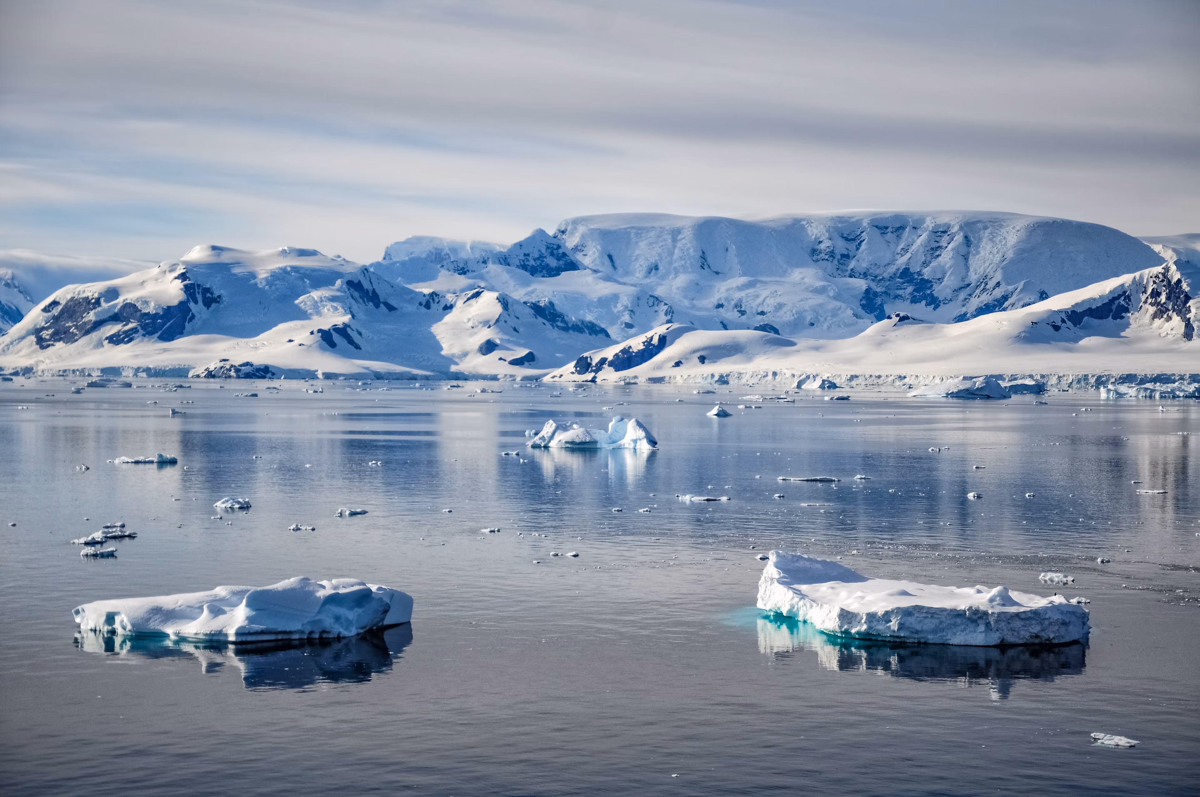 King George Island to Puerto Williams