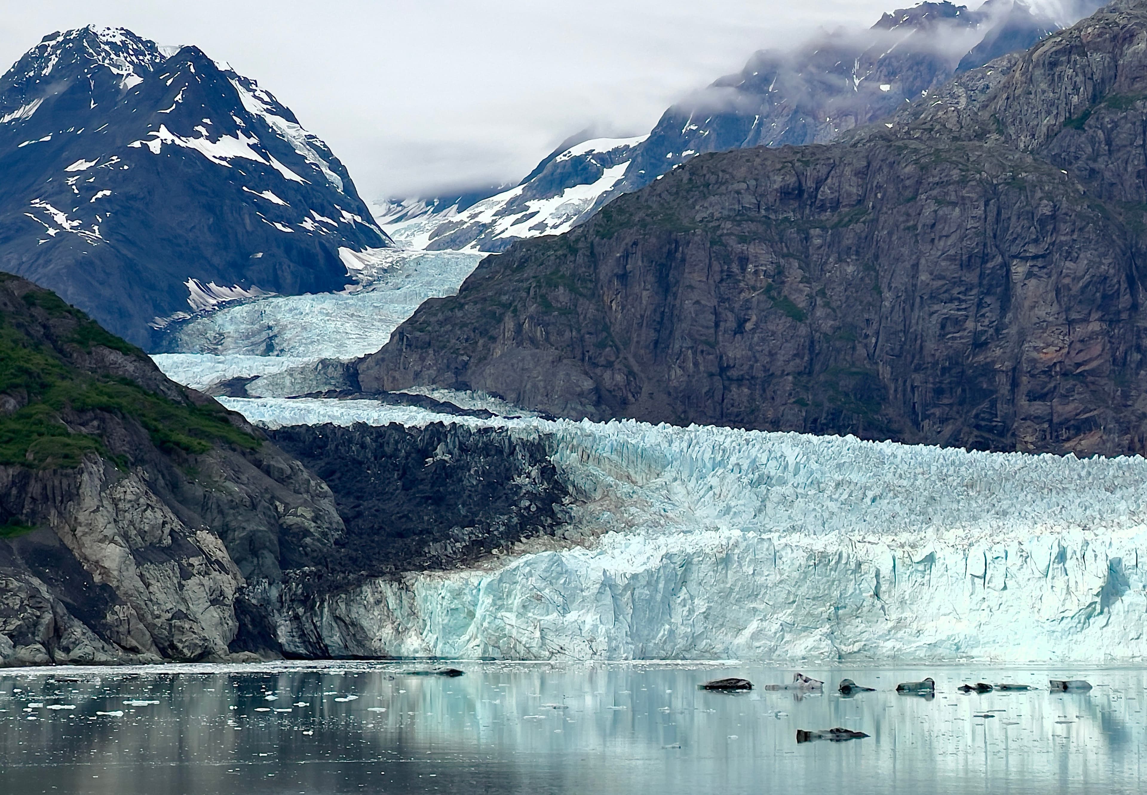 Patagonian Explorer