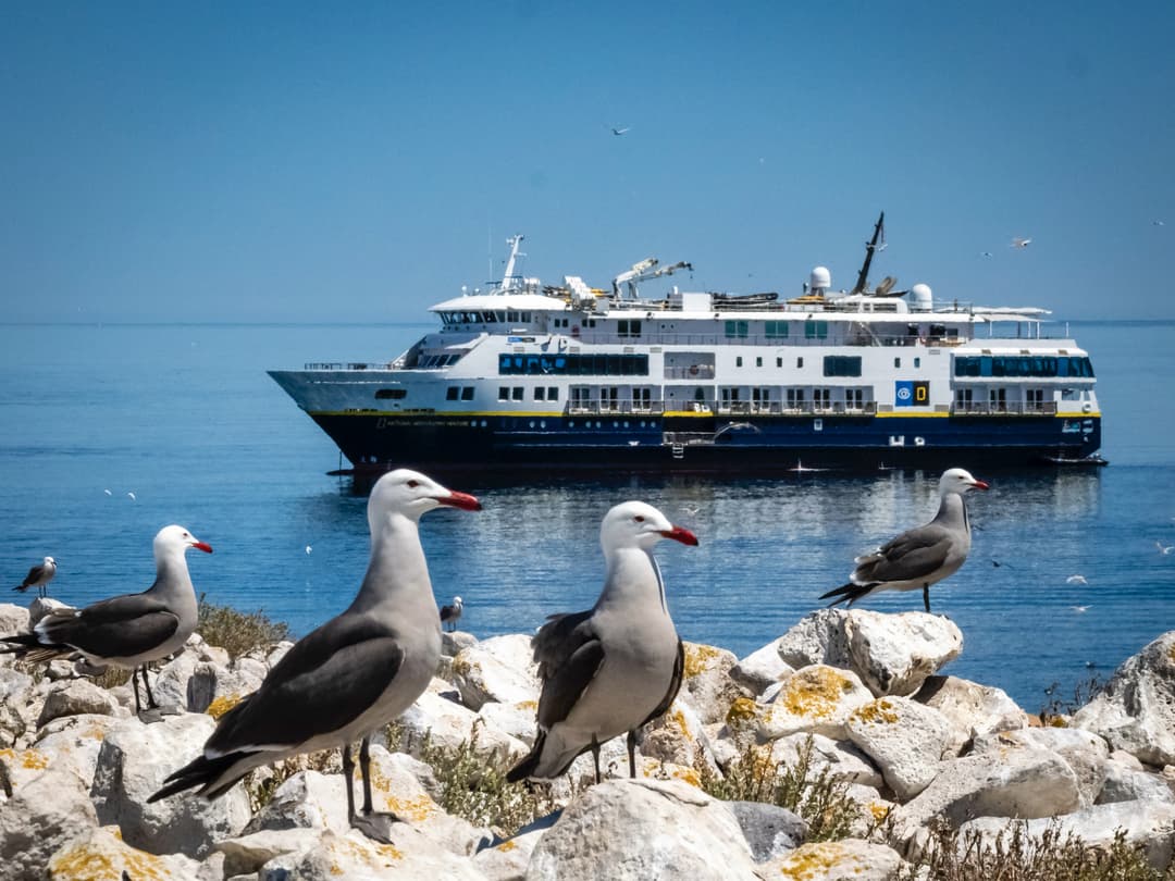 Ng Le Ng Venture In Mexico Baja California Wildife ©Lindblad Expeditions Ralph Lee Hopkins