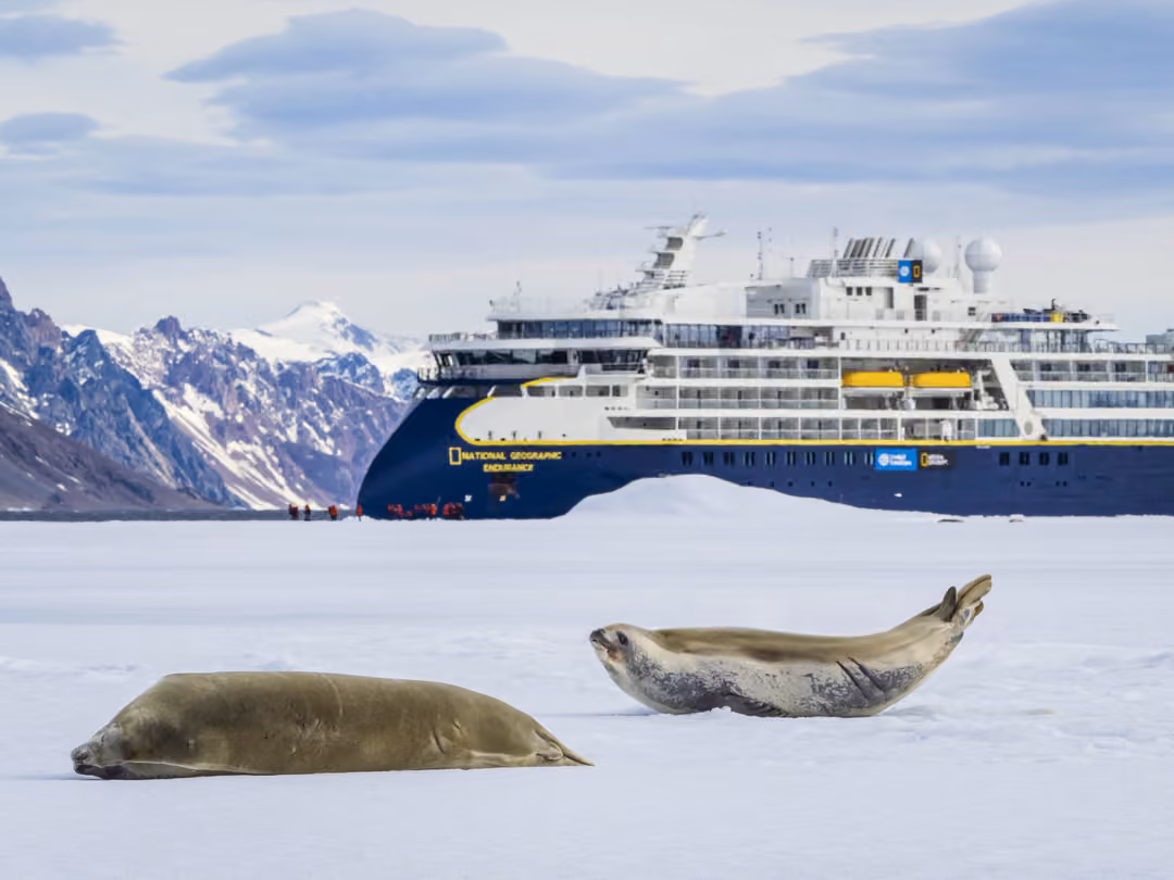 Ng Le Ng Endurance Wildlife Antarctica ©Lindblad Expeditions Ralph Lee Hopkins