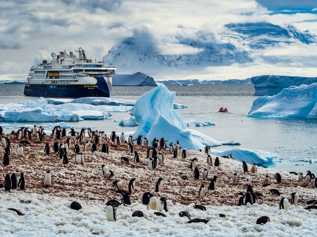 Ng Le Ng Resolution Wildlife Penguins Citizen Science ©Lindblad Expeditions Ralph Lee Hopkins 1