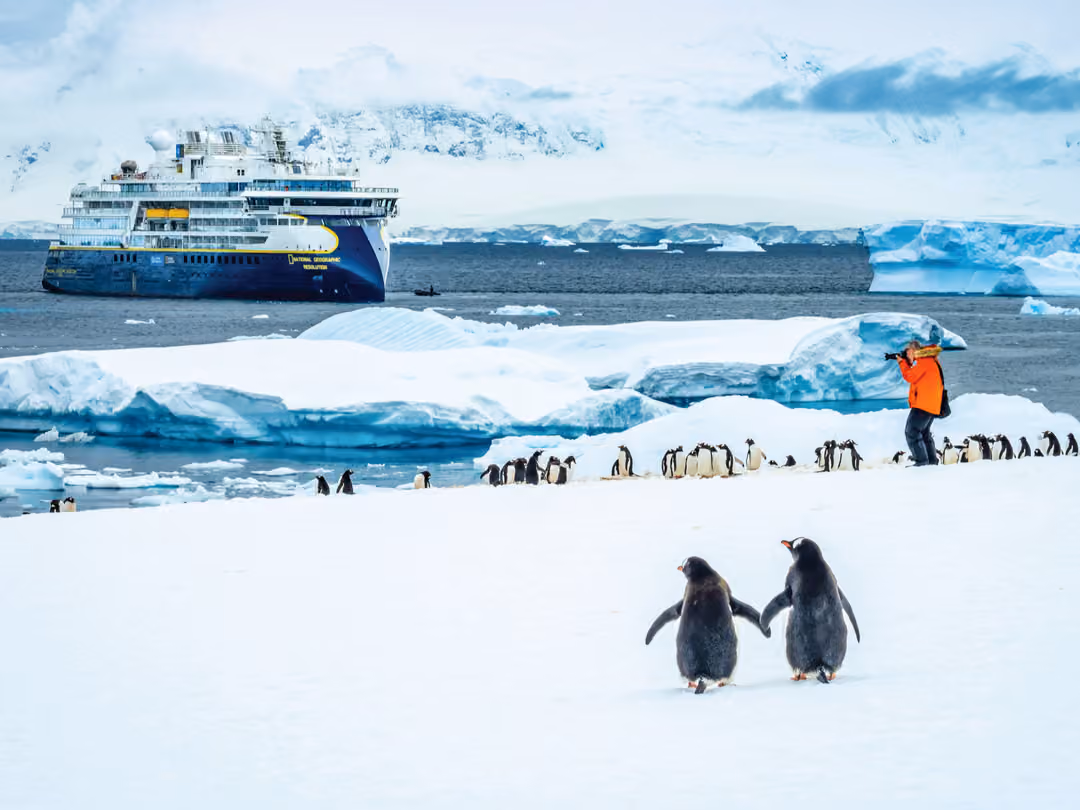 Ng Le Ng Resolution Wildlife Penguins Citizen Science ©Lindblad Expeditions Ralph Lee Hopkins 0