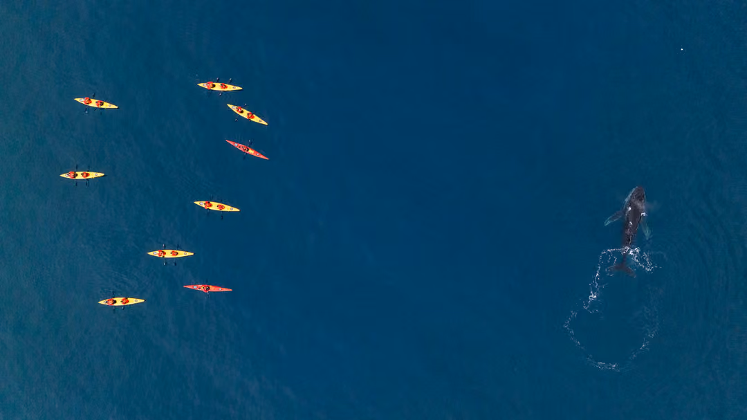 Seabourn Venture Kayaks 2