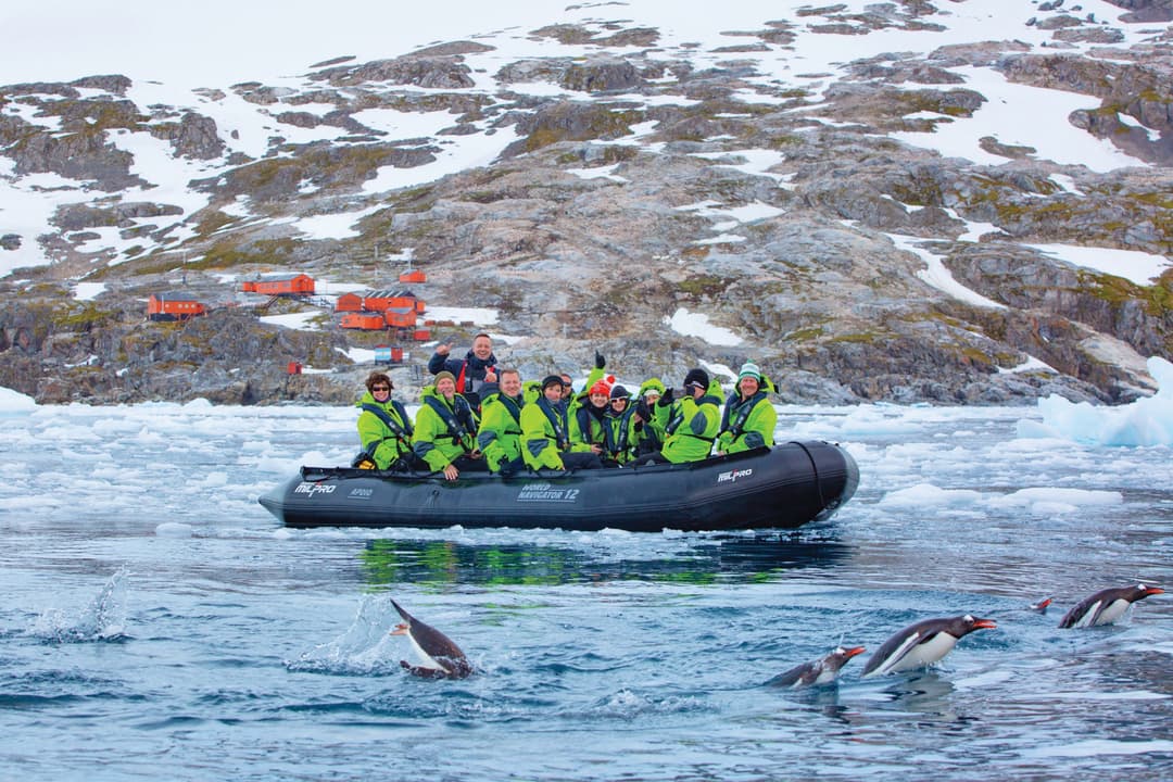 Aov Antarctica Cierva Cove Zodiac