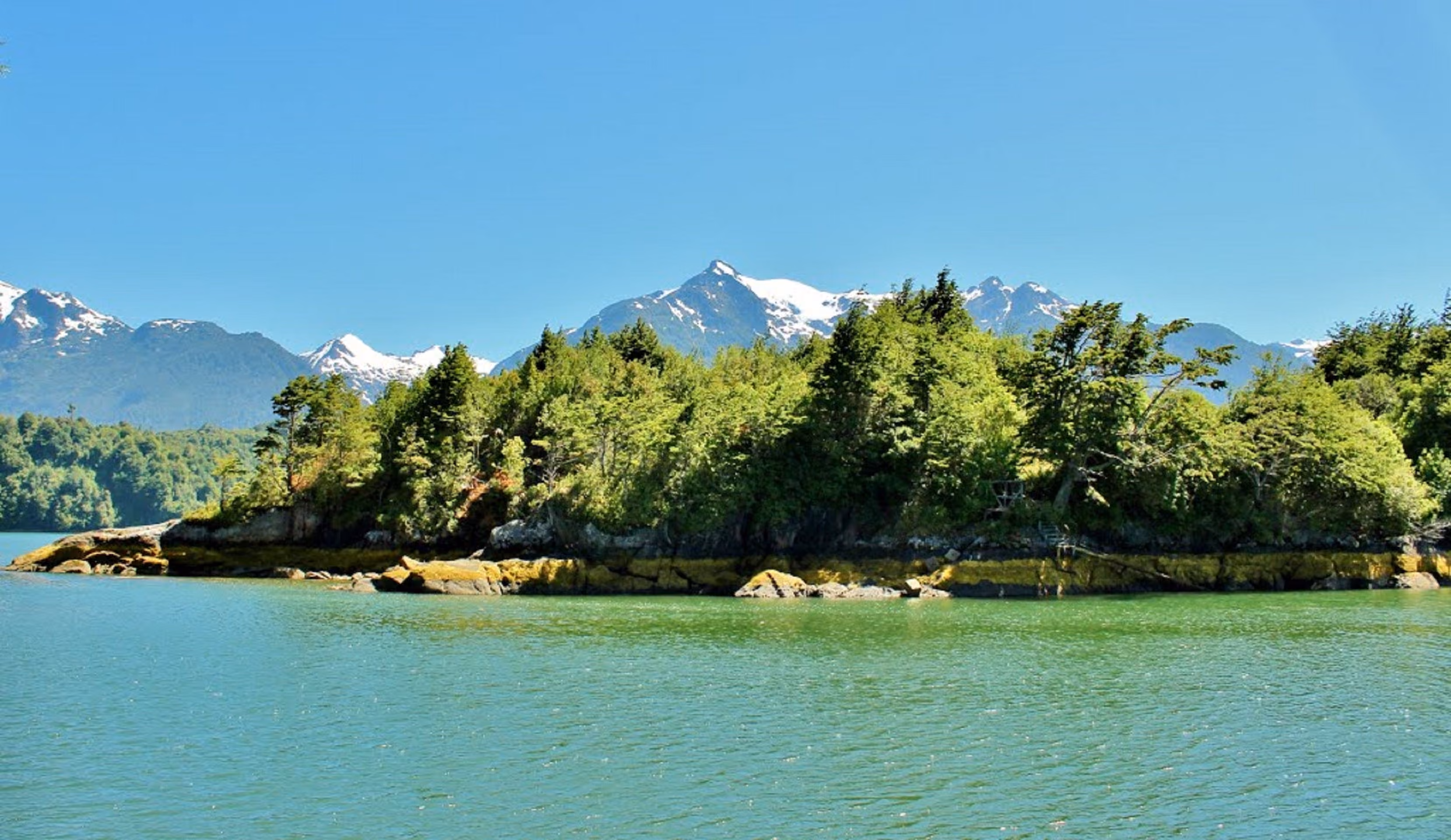 Ultimate Chilean Fjords, Glaciers & Antarctic Wildlife Explorer