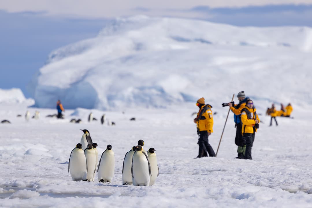 Quark Expeditions, Hiking In Antarctica 5 ©Michelle Sole