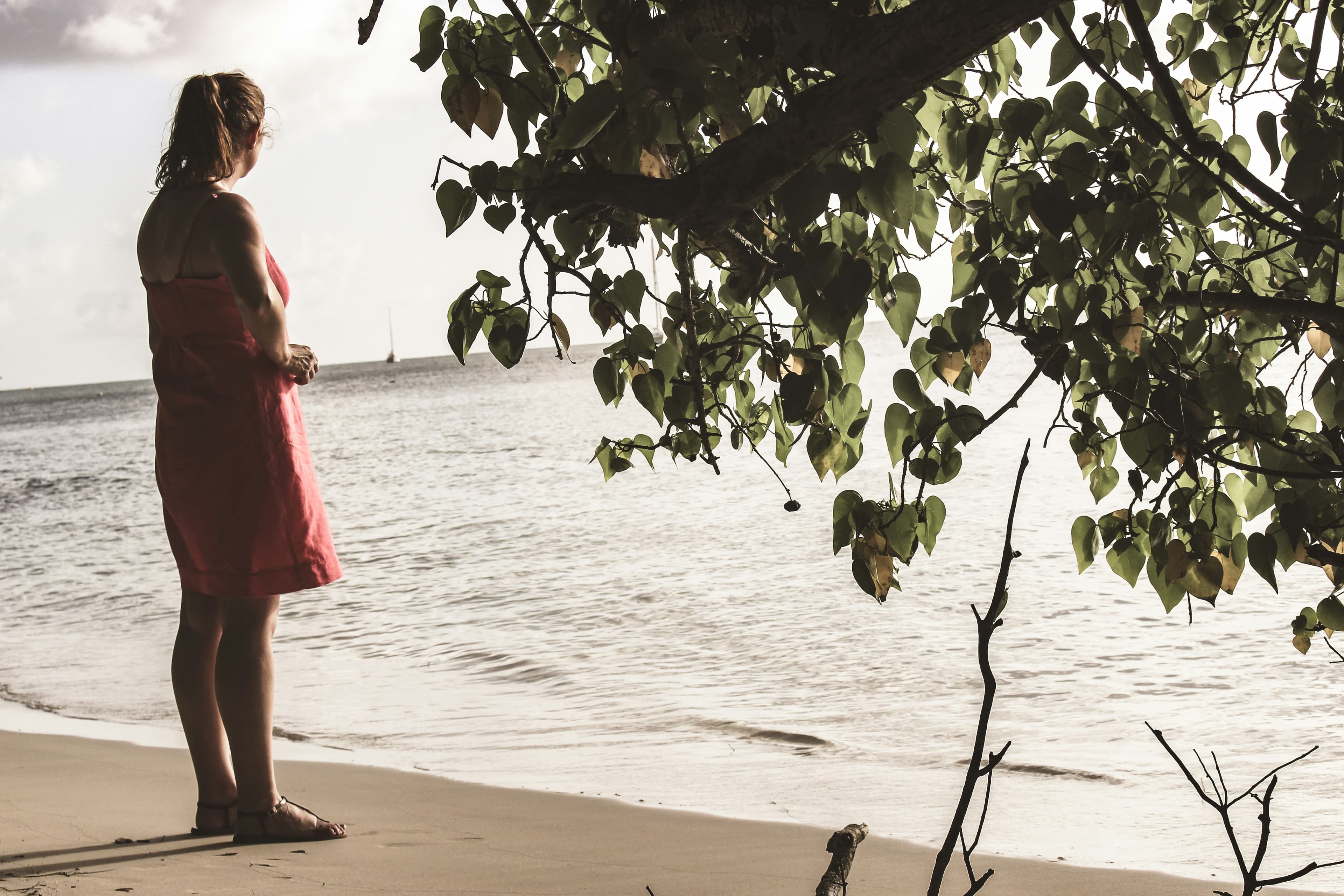 Sunlit Antillean Sojourn