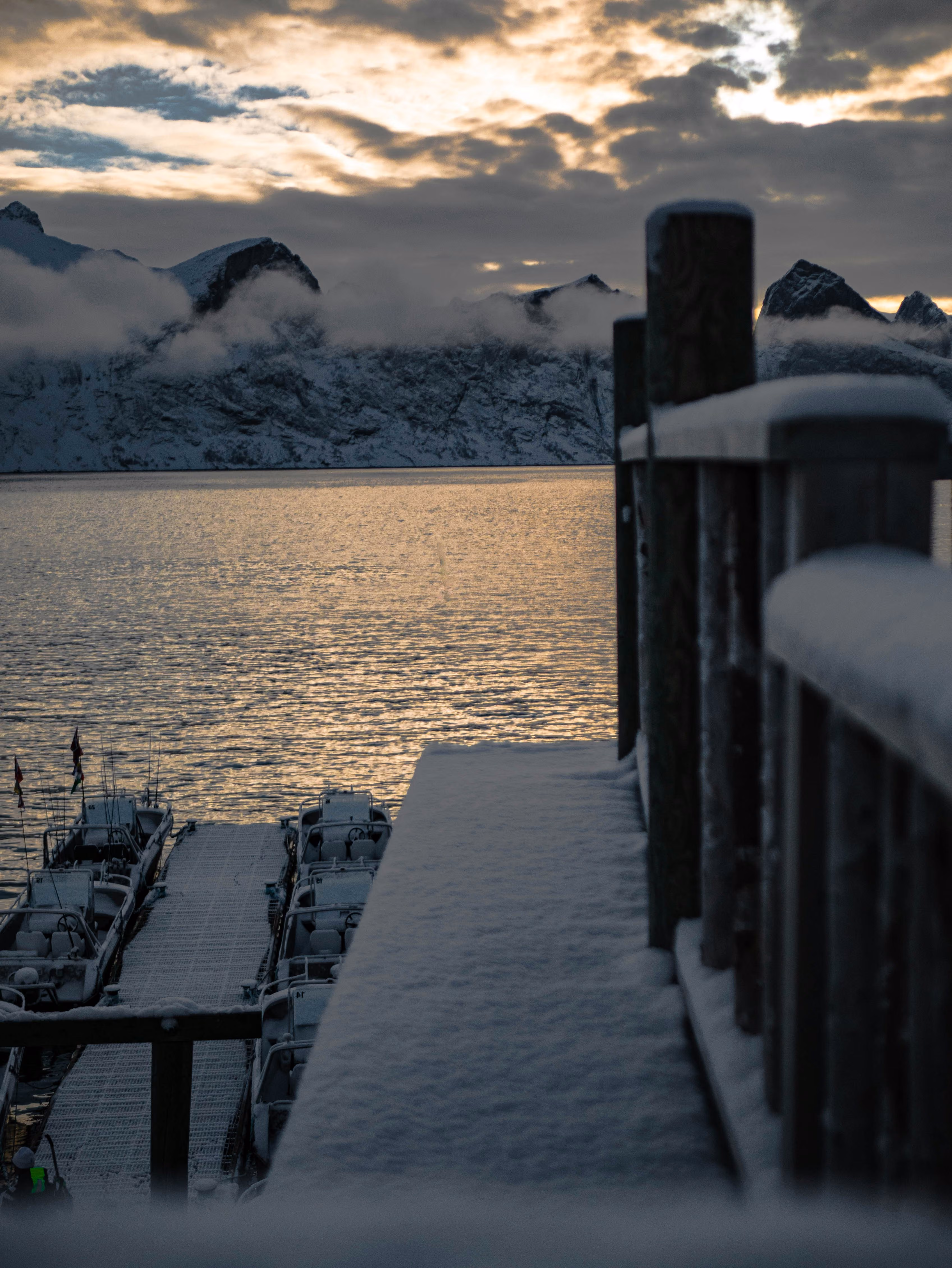 Norwegian Discovery: Svalbard and the Northern Fjords