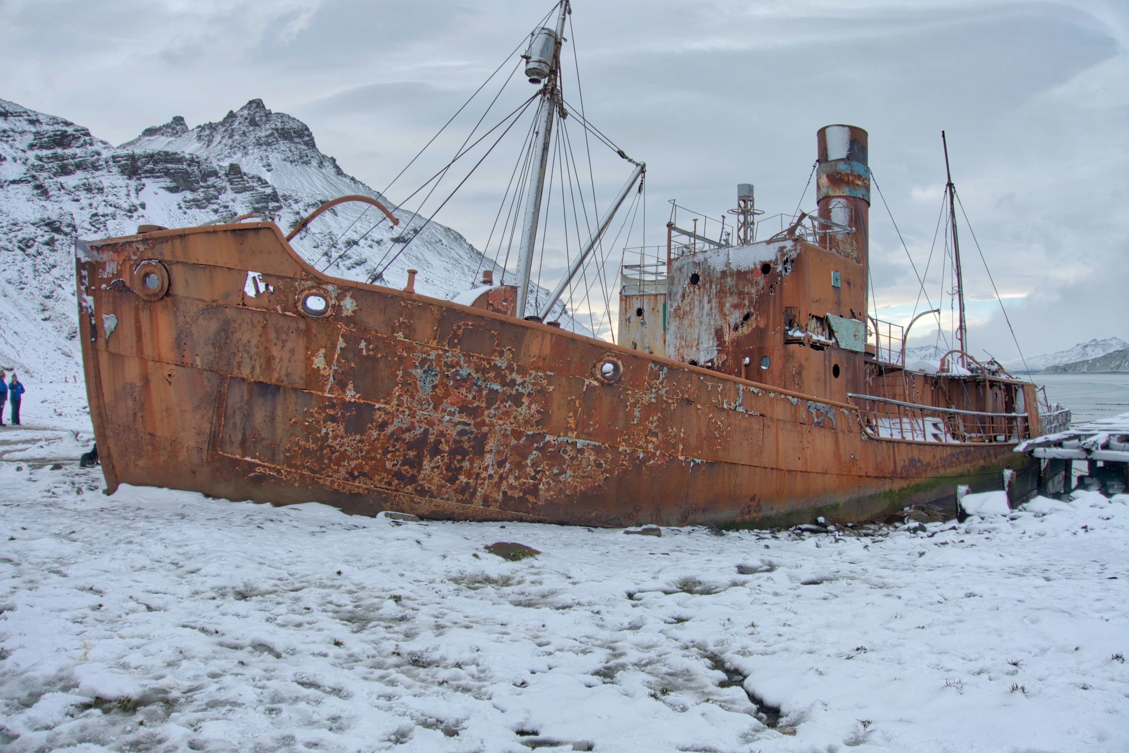 In-depth Antarctica, Falklands & South Georgia Expedition