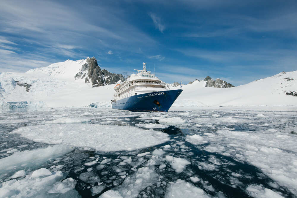 Best of the Southern Ocean