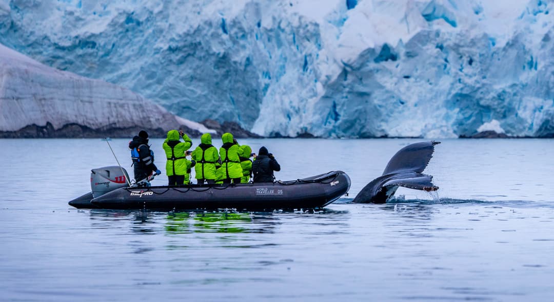 Atlas Ocean Voyages Antarctica Zodiac Whale Tail ©Atlas Ocean Voyages