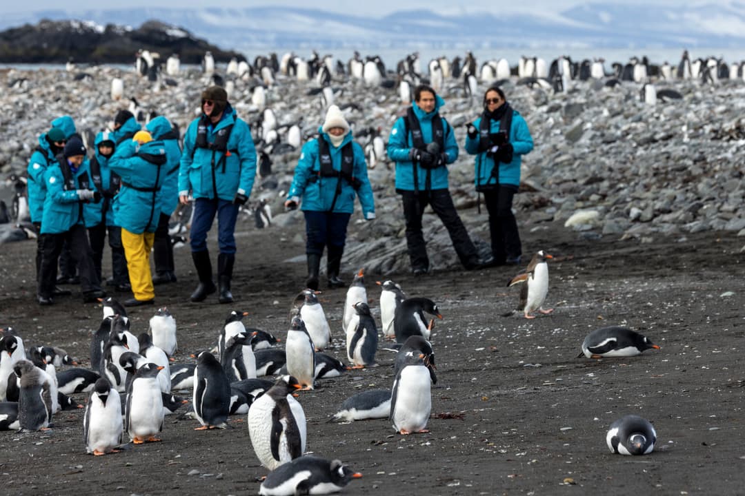 Swan Hellenic Elephant Point, Antarctica Zodiacs ©Gennadiy Skorokhod