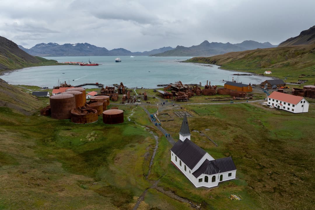 Swan Hellenic Grytviken ©Adam Laister