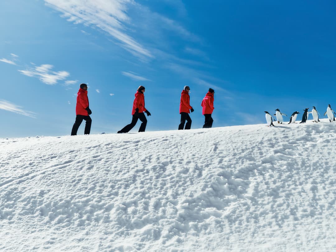 Silversea Cruises Hiking In Antarctica 3 ©Silversea Cruises Ltd