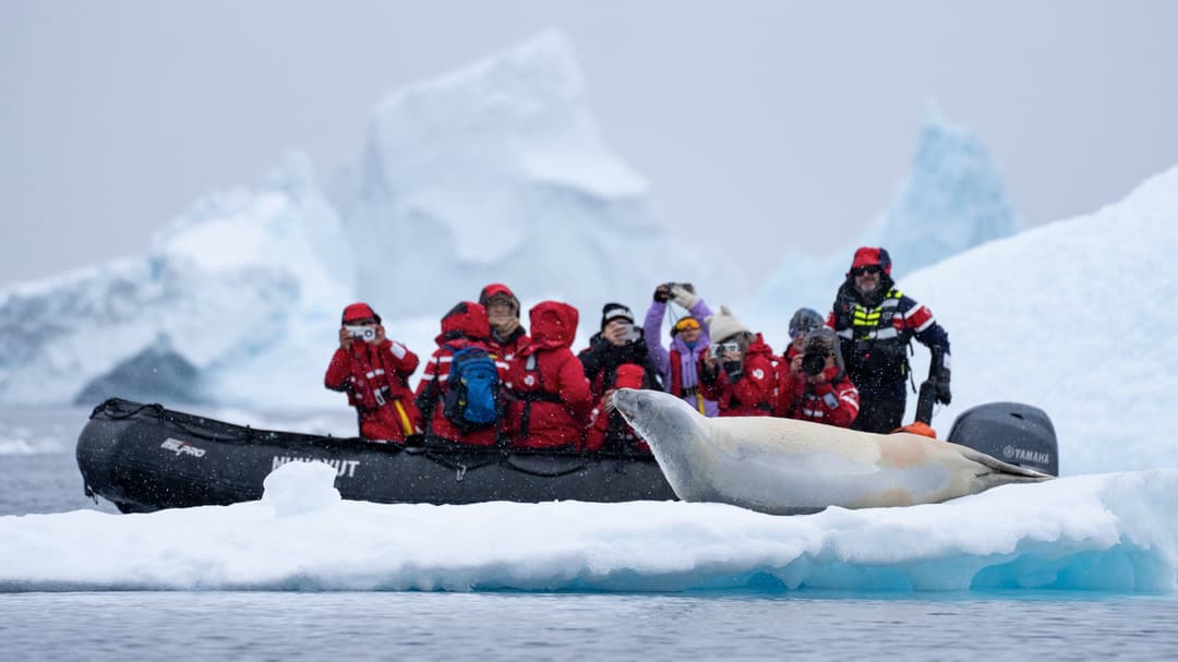 Polar Latitudes Expeditions Yalour Islands Zodiak