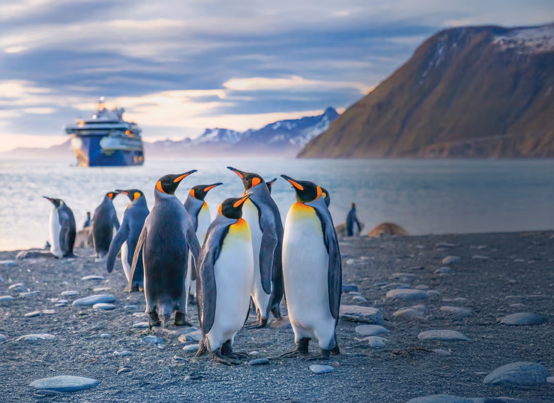 Ng Le Ng Endurance South Georgia Gold Harbour Exterior ©Andrew Peacock & Lindblad Expeditions