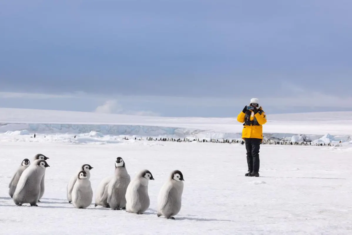 Emperor Penguin Quest: Expedition to Snow Hill