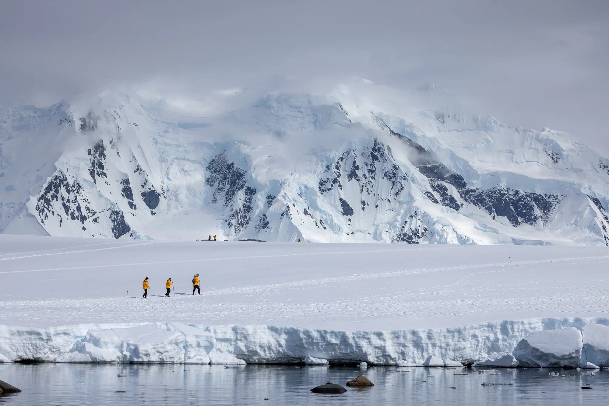 Penguins of the Far South: Falklands, South Georgia and Antarctica