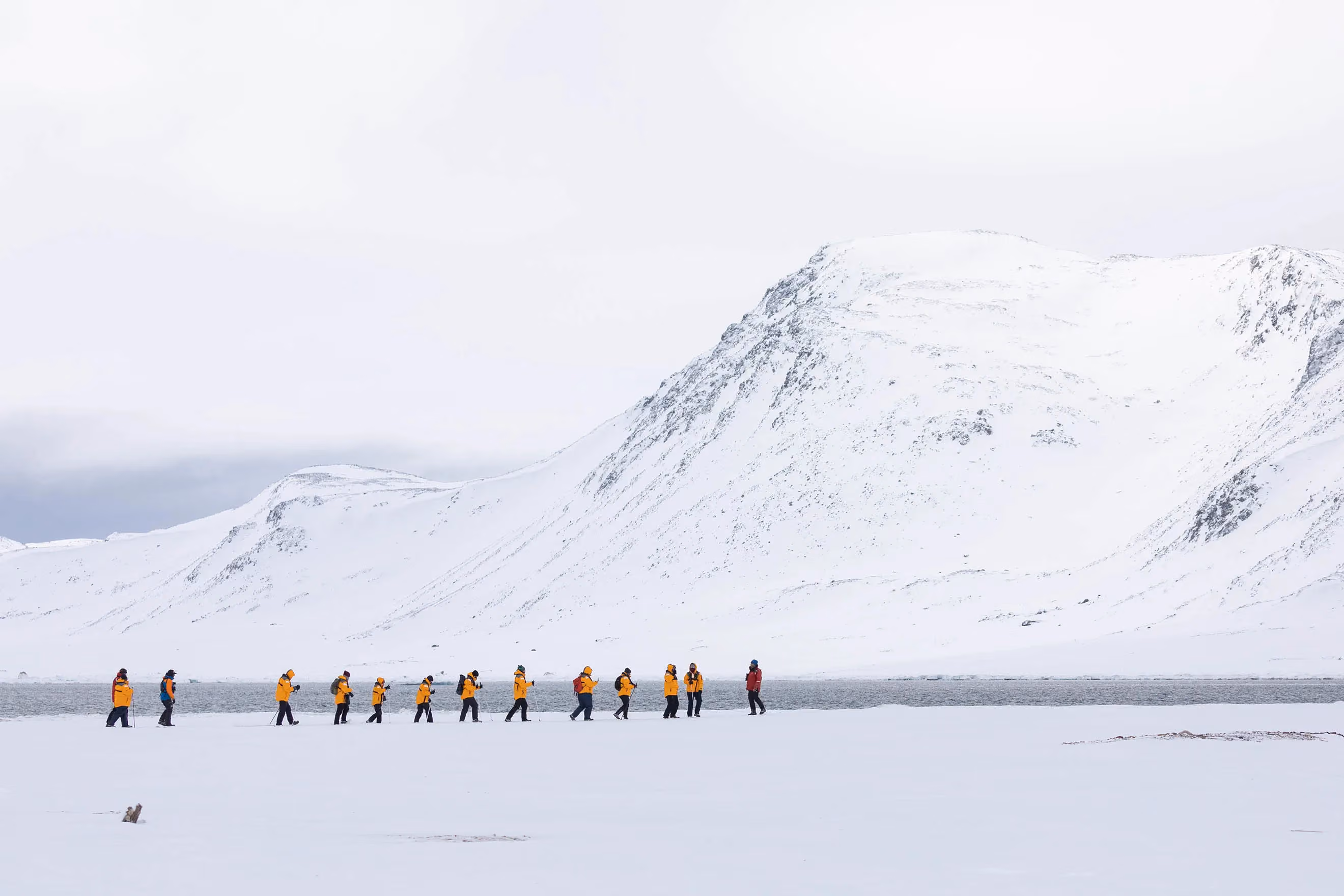 Scotland to Spitsbergen: Puffins, Sea Ice and Wildlife