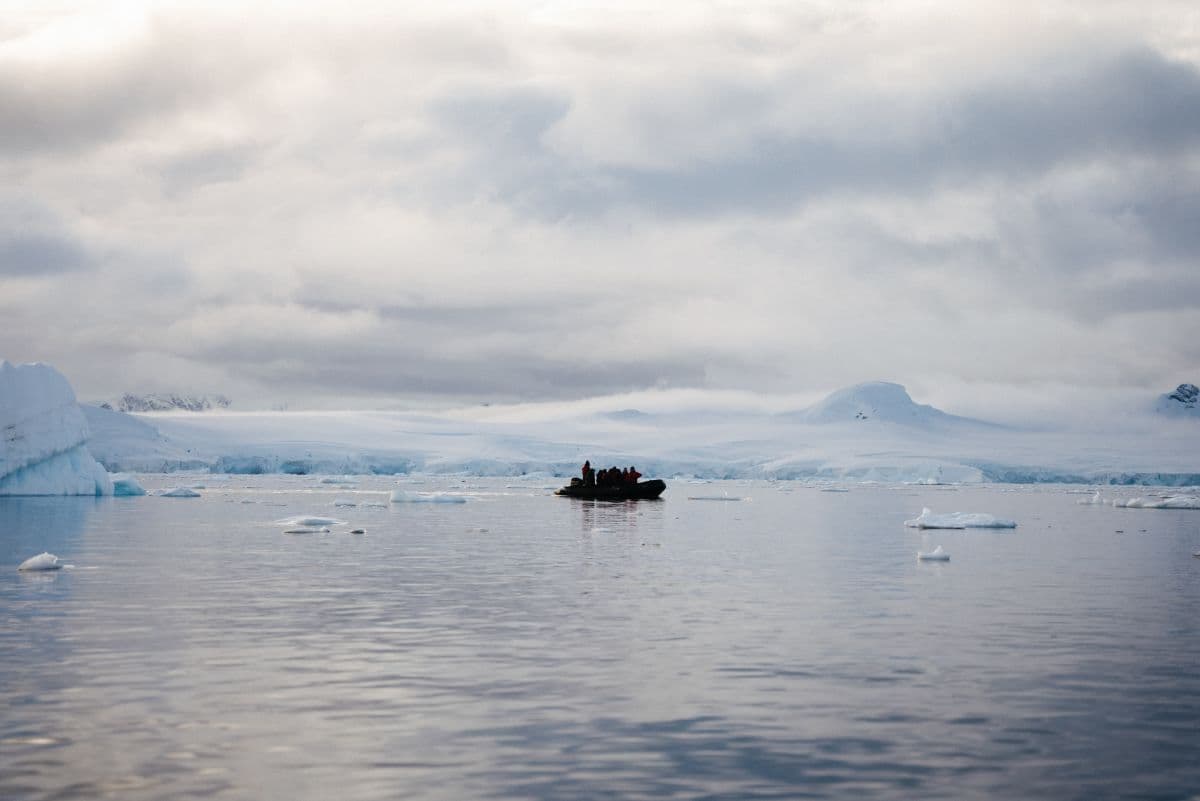 Classic Antarctica onboard Terra Nova Adventurer